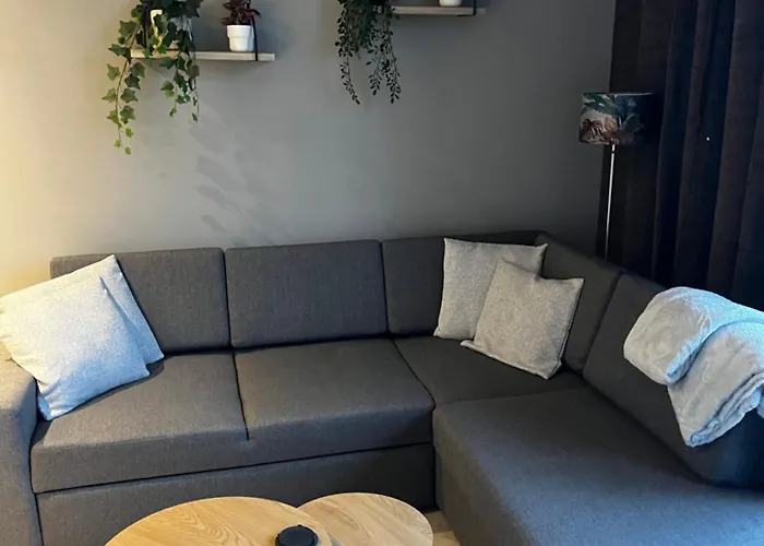 't Singeltje Λάιντεν